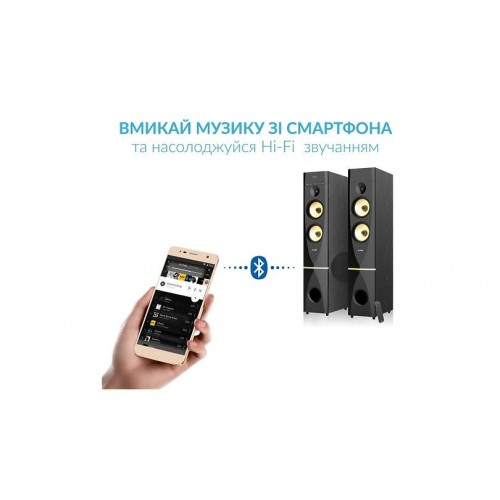 Колонки F&D T-88X black (2.0)