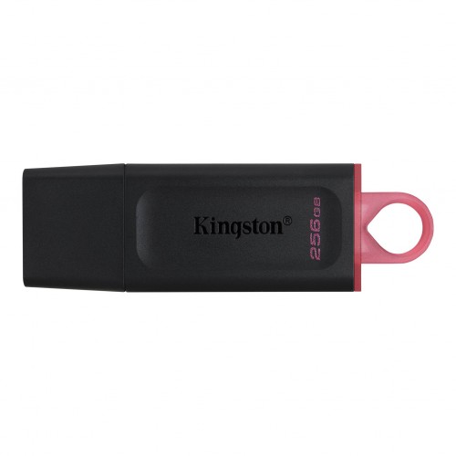 USB 3.2 256Gb Kingston DT Exodia