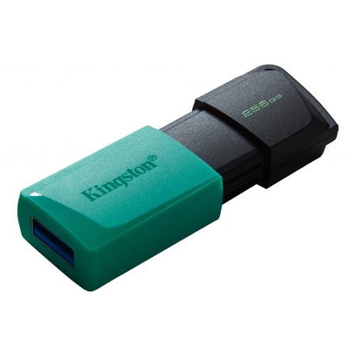 USB 3.2 256Gb Kingston DT Exodia M