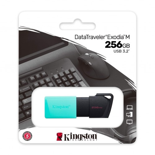 USB 3.2 256Gb Kingston DT Exodia M