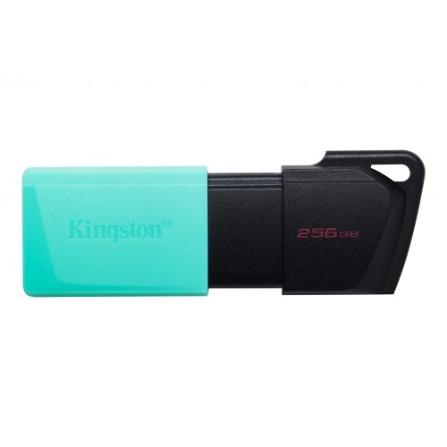 USB 3.2 256Gb Kingston DT Exodia M