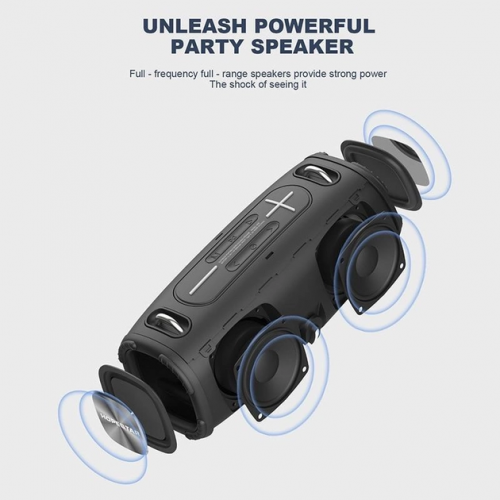 Колонка Hopestar H50 black