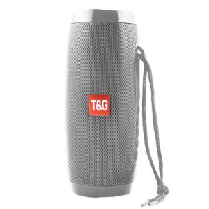 Колонка T&G TG157 silver