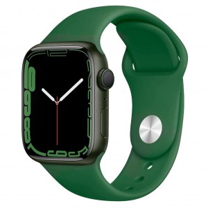 Ремінець Hoco WA01 for Apple Watch 1-8 (38/40/41mm) alfalfa