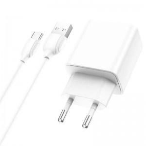 Сетевое зарядное устройство Borofone BA66A QC3.0 Type-C (USB, 18W/Cable Type-C) White