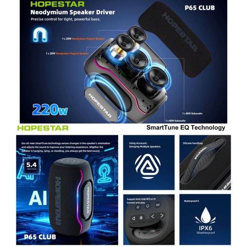 Портативна Bluetooth колонка Hopestar P65 Club 220W з мікрофоном Black