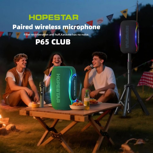 Портативна Bluetooth колонка Hopestar P65 Club 220W з мікрофоном Black