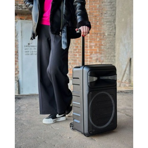 Колонка RX-1225D