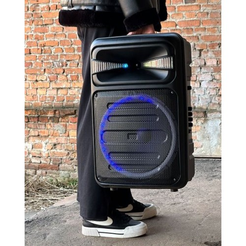 Колонка RX-1225D