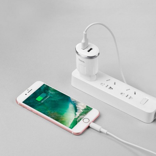 Адаптер сетевой Hoco Thunder C38A |2USB, 2.4A|