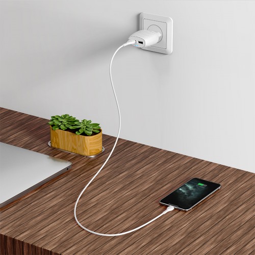Адаптер мережевий Hoco Lightning Cable Max energy C78A |2USB, 2.4A| white