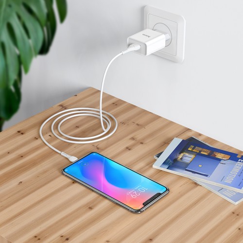 Адаптер мережевий Hoco Type-C cable Asombroso C81A |1USB, 2.1A| white