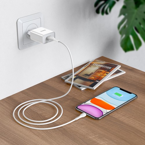 Адаптер мережевий Hoco Asombroso C81A |1USB, 2.1A| white