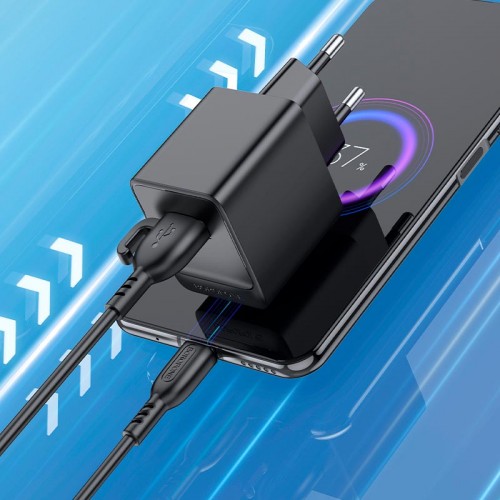 Адаптер мережевий Borofone Micro USB cable Erudite single port charger BAS11A |1USB, 2.1A/10.5W| black