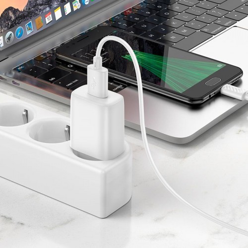 Адаптер мережевий Hoco Micro USB Cable Solid single port charger C134A |1USB, 12W/2.4A| black