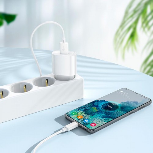 Адаптер сетевой HOCO Micro USB Cable Fighter одноразовый зарядный комплект C109A |1USB, 2.1A/10.5W| белый