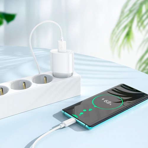 Адаптер мережний HOCO Type-C Cable Fighter single port charger set C109A |1USB, 2.1A/10.5W| white