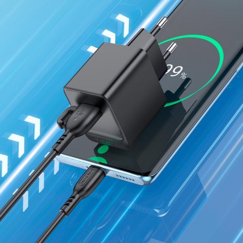 Адаптер мережевий BOROFONE Type-C cable Erudite single port charger BAS11A |1USB, 2.1A/10.5W| black