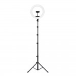 Тримач з кільцевим освітленням JOYROOM Touch Selfie Ring Light JR-ZS228 AKL01 |10", 2A, 2700-5700K| black
