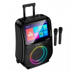 Акустика-караоке HOCO RGB outdoor karaoke BT дисплей з двома мікрофоном і дисплеєм 800p DS71 |BT5.0, USB/AUX/TF, 60W, 3h, EQ| black