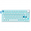 Клавиатура Onikuma Tri Mode Mechanical RGB gaming keyboard 81 Keys MT706 |2.4G/BT/Type-C, ENG Layouts| white