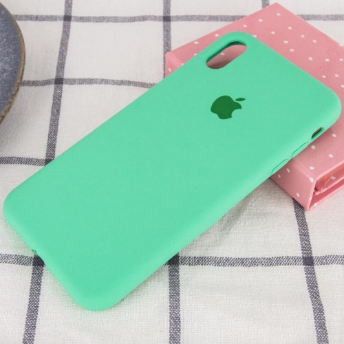 Чехол Silicone Case Full Protective (AA) для Apple iPhone X / XS (5.8") Зелёный / Spearmint