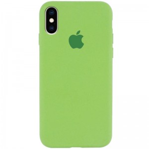 Чехол Silicone Case Full Protective (AA) для Apple iPhone XS Max (6.5") Мятный / Mint