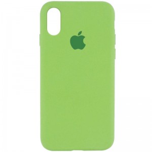 Чохол Silicone Case Full Protective (AA) для Apple iPhone XR (6.1") М'ятний / Mint