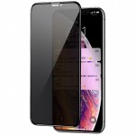 Захисне скло Privacy 5D (тех.пак) для Apple iPhone 12 Pro Max (6.7") Чорний