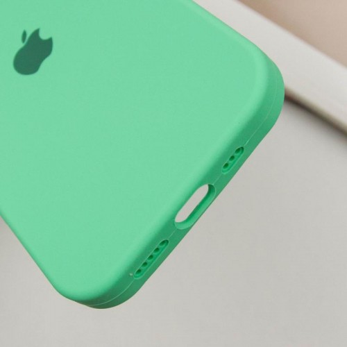 Чехол Silicone Case Full Protective (AA) для Apple iPhone 13 Pro Max (6.7") Зелёный / Spearmint