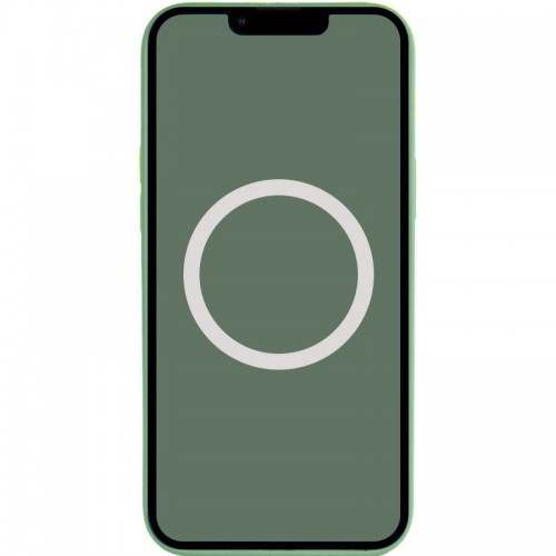 Чехол Silicone case (AAA) with Magsafe and Animation для Apple iPhone 13 (6.1") Зелёный / Эвкалипт