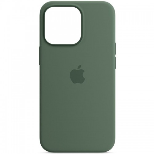 Чехол Silicone case (AAA) with Magsafe and Animation для Apple iPhone 13 Pro (6.1") Зелёный / Eucalyptus