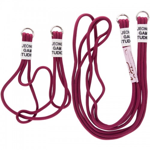 Чохол TPU two straps California для Apple iPhone 13 (6.1") Червоний / Rose Red