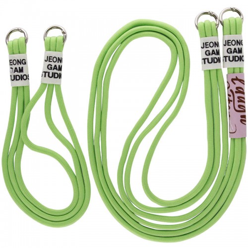 Чохол TPU two straps California для Apple iPhone 12 Pro / 12 (6.1") Салатовий