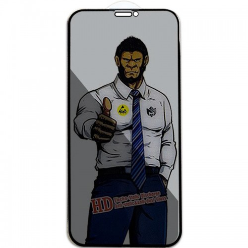 Защитное стекло Privacy 5D Anti-Static (тех.пак) для Apple iPhone 11 Pro / X / XS (5.8") Черный