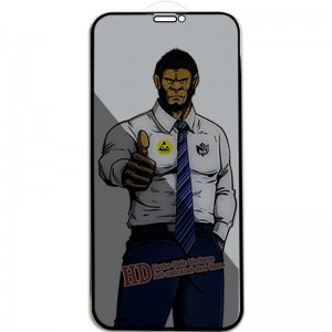 Захисне скло Privacy 5D Anti-Static (тех.пак) для Apple iPhone 11 Pro Max / XS Max (6.5") Чорний