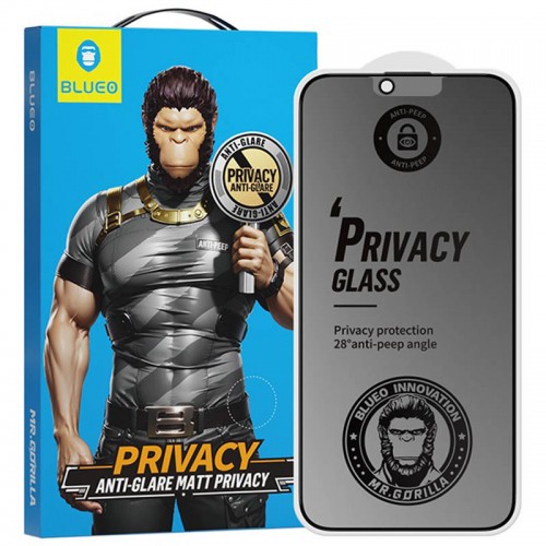 Защитное 2.5D стекло Blueo Full Cover Anti-Peep Matte для Apple iPhone 13 Pro / 13 / 14 / 16e (6.1") Черный