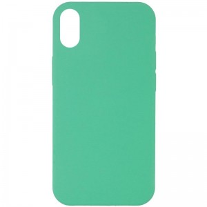 Чохол Silicone Case Full Protective (AA) NO LOGO для Apple iPhone XR (6.1") Зелений / Spearmint