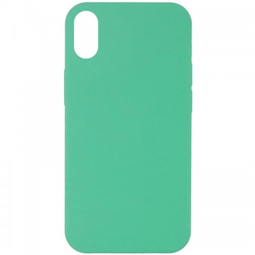 Чохол Silicone Case Full Protective (AA) NO LOGO для Apple iPhone XR (6.1") Зелений / Spearmint