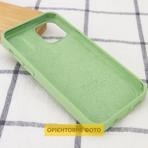 Чехол Silicone Case Full Protective (AA) для Apple iPhone 16 (6.1") Мятный / Mint