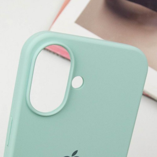 Чехол Silicone Case Full Protective (AA) для Apple iPhone 16 (6.1") Бирюзовый / Turquoise