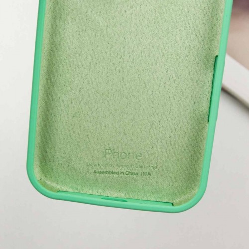 Чехол Silicone Case Full Protective (AA) для Apple iPhone 16 Pro (6.3") Зелёный / Spearmint