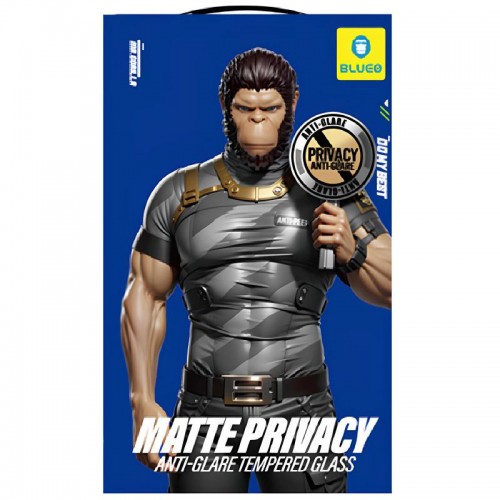 Захисне 2.5D скло Blueo Full Cover Anti-Peep Matte для Apple iPhone 17 / 17 Pro (6.3") Чорний