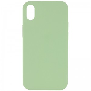 Чехол Silk Full Protective (AA) NO LOGO для Apple iPhone XR (6.1") Мятный / Mint