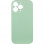 Чехол Silk Full Camera Protective (AA) NO LOGO для Apple iPhone 12 Pro (6.1") Зеленый / Фисташковый