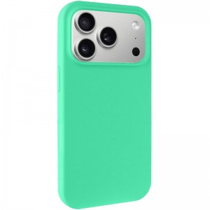 Чохол Silk Full Protective (AA) NO LOGO для Apple iPhone 17 Pro Max (6.9") Зелений / Spearmint