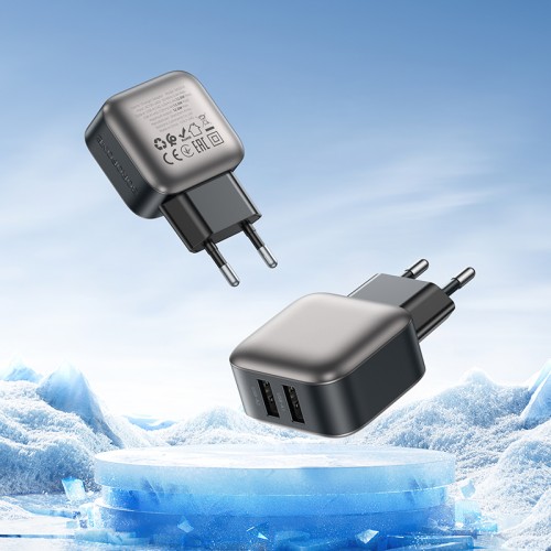 Мережевий зарядний пристрій BOROFONE BAS51A Absolute dual-port charger Black