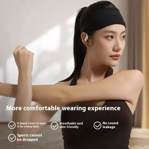 Бездротові навушники TWS ACEFAST FA002 ACEFIT Air wireless earbuds, ENC, IP54, Black