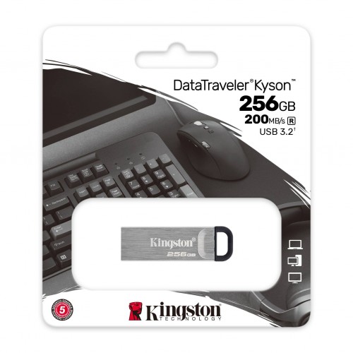 Флеш-накопичувач Kingston USB 3.2 DT Kyson 256GB Silver/Black