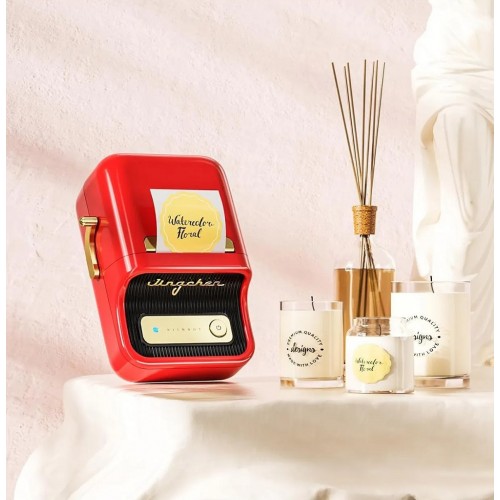 Термопринтер для печати наклеек NIIMBOT B21S Red